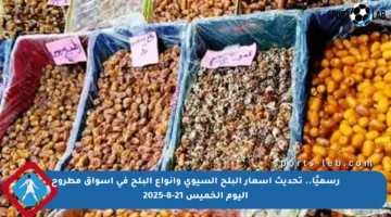 رسميًا.. تحديث أسعار البلح السيوي وأنواع البلح في أسواق مطروح اليوم الخميس 21-8-2025